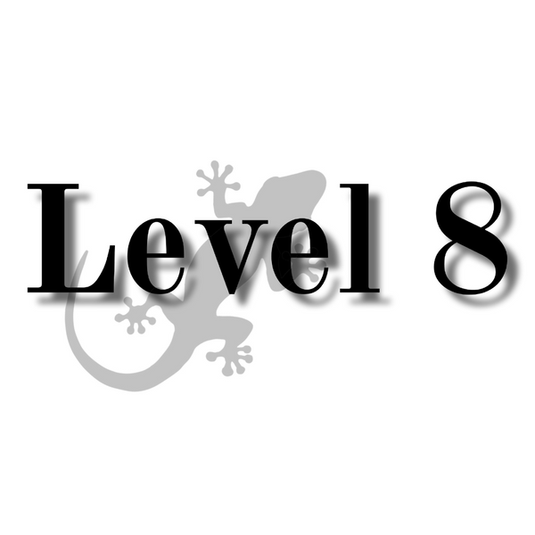 Level 8